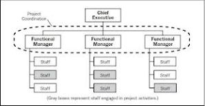 Fonksiyonel Organizasyon